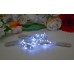 LED SEED WIRE LIGHT WITH MINI BATTERY PACK